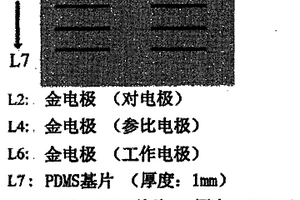 多通道芯片電泳集成納米微帶電極陣列及其制法和用途