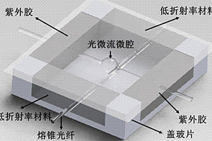 可保留徑向高階模式的封裝型光微流微腔生化傳感器