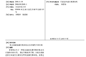 棕點湍蛙抗微生物多肽及其在制藥中的應用