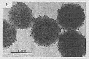 通過溫敏性大分子單體兩步法制備納米金的方法
