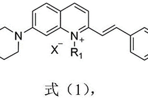 比率型熒光探針及其制備方法與應用