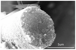 高碘含量I<Sub>2</Sub>-MBC正極材料及其制備方法