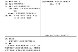 直接甲醇燃料电池的膜电极的制备方法