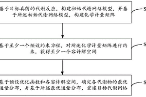 病原真菌的代謝網絡構建方法、裝置、設備及存儲介質