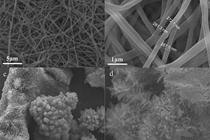 VO<Sub>2</Sub>納米花材料及其制備方法和應用