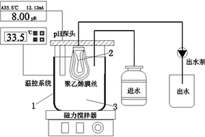 脫氮除磷耦合處理污水的反應器及其處理污水的方法