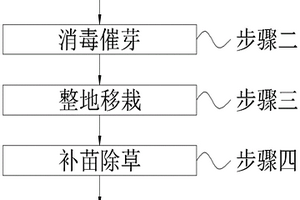 水稻生態種植方法