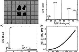 理想二維費米液體系統Bi<sub>2</sub>O<sub>2</sub>Se單晶及其制備方法和應用