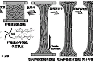 全纖維素納米流體離子導體膜材料制備方法