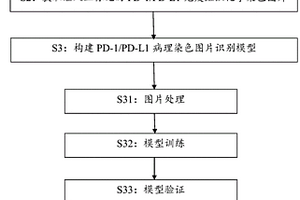 基于深度學習的PD-1/PD-L1病理圖片識別方法和裝置