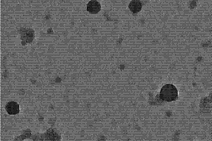 熒光藥物分子復合納米粒子、其制備方法和應用