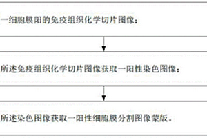 細胞膜識別及分割方法