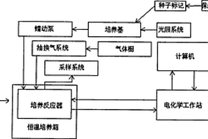用于保綠型玉米選育的輔助選擇系統