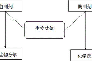 酶、菌制劑原位修復底泥污染工藝