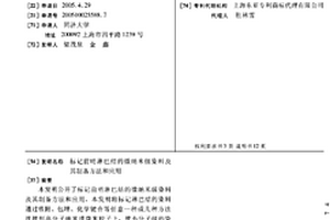 標記前哨淋巴結的微納米級染料及其制備方法和應用