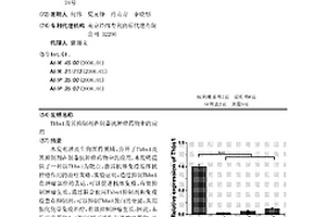 Thbs1及其抑制劑在制備抗腫瘤藥物中的應用