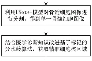 骨髓細胞形態學特征的提取方法與系統