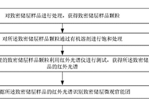 識別致密儲層微觀官能團的方法