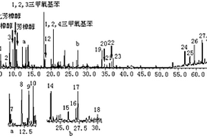 基于GC/MS技術的普洱熟茶指紋圖譜識別方法