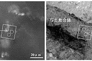 確定油氣運移的期次、時間、動力與方向的方法