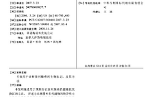 有效用于诊断前列腺癌的生物标记,及其方法