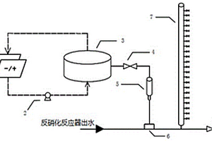 去除海水反硝化反應器出水中氨氮的裝置和方法