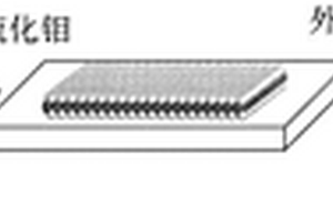 Te/MoS<sub>2</sub>范德華異質結構及其制備方法和應用