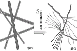有機(jī)相硫化鎘/碲化鎘納米晶超結(jié)構(gòu)及其制備方法和應(yīng)用