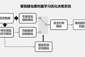 專家經驗輔助的餐前胰島素劑量學習優化決策系統