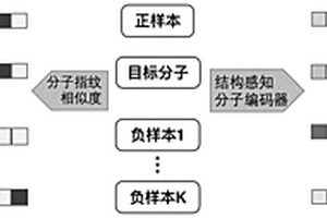 基于對比學習的分子圖表示學習方法