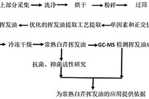 常熟白芹揮發油提取工藝及其應用