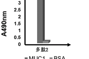 人MUC1特異性結合多肽及其提取方法