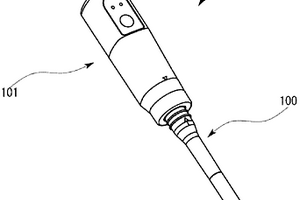 電極體