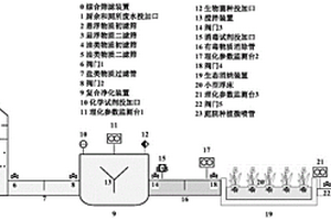 农村生活混合废水综合净化处理的装置及方法
