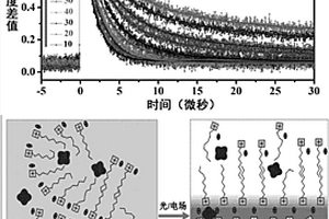 離子液體體系中分子分布的調控方法及應用