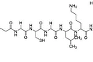 靶向CD19抗體的多肽分子探針及其應用