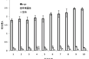 特異性結合P-糖蛋白的核酸適配體、制備方法及其應用