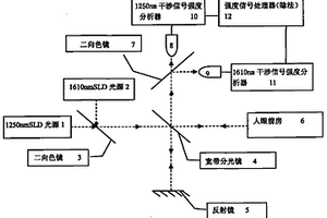 物質濃度的無損光學檢測方法及其裝置