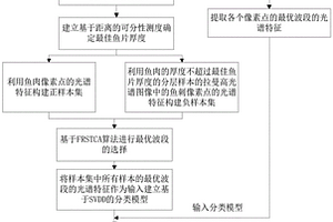 基于拉曼高光譜成像技術的魚刺檢測方法