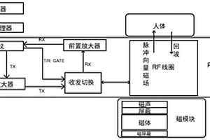 基于磁共振原理的器官脂肪無創定量檢測方法