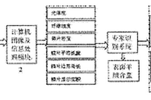 基于鱗片圖文特征的織物羊絨含量檢測系統及方法