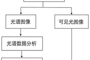 基于高光譜的文件字跡偽造的檢測方法