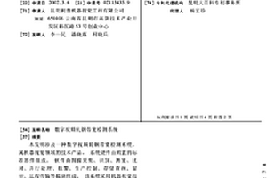 數字視頻軋鋼帶寬檢測系統