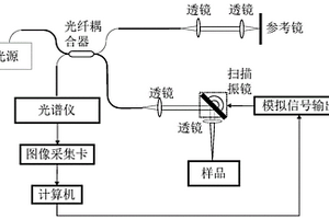 基于OCT系統檢測漆質涂層固化程度的方法