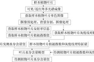 基于多光譜圖像的植物葉片水分含量的檢測方法及系統
