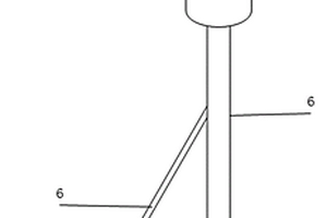 便攜式獼猴桃內部品質無損檢測光纖探頭
