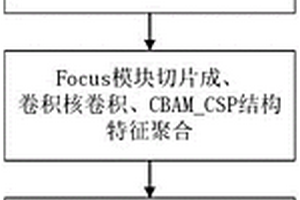 設施番茄葉部病斑檢測方法及靶向噴藥裝置