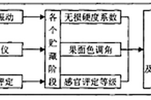 無損檢測蘋果冷藏和貨架品質的方法