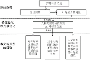 對葉表結構不敏感的葉綠素含量的檢測方法