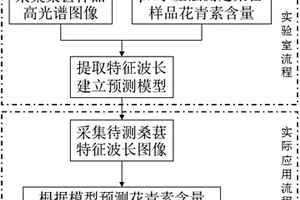 桑葚花青素含量的光譜檢測方法